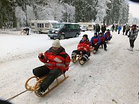 Bild: Schlittenhunderennen in Benneckenstein