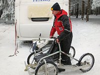 Bild: Schlittenhunderennen in Benneckenstein