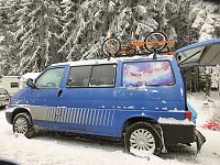 Bild: Schlittenhunderennen in Benneckenstein