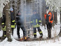 Bild: Schlittenhunderennen in Benneckenstein