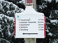 Bild: Schlittenhunderennen in Benneckenstein