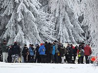 Bild: Schlittenhunderennen in Benneckenstein
