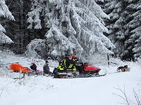Bild: Schlittenhunderennen in Benneckenstein