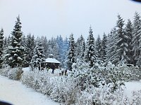 Bild: Schlittenhunderennen in Benneckenstein