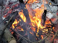 Bild: Schlittenhunderennen in Benneckenstein