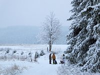 Bild: Schlittenhunderennen in Benneckenstein