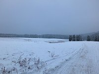 Bild: Schlittenhunderennen in Benneckenstein