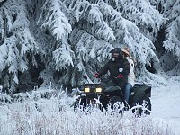 Bild: Schlittenhunderennen in Benneckenstein