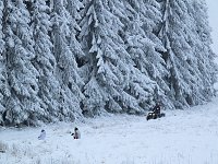 Bild: Schlittenhunderennen in Benneckenstein