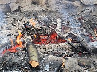 Bild: Schlittenhunderennen in Benneckenstein