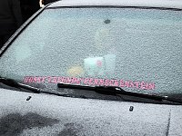 Bild: Schlittenhunderennen in Benneckenstein