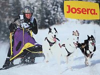 Bild: Schlittenhunderennen in Benneckenstein
