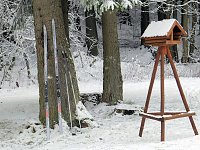 Bild: Der Oberharz am Brocken
