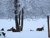 Bild: Der Oberharz am Brocken