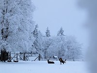 Bild: Der Oberharz am Brocken