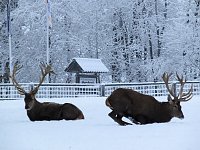 Bild: Der Oberharz am Brocken