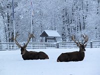 Bild: Der Oberharz am Brocken