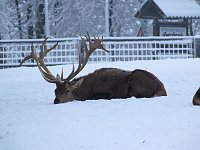 Bild: Der Oberharz am Brocken