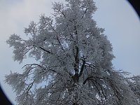 Bild: Der Oberharz am Brocken