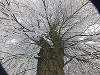 Bild: Der Oberharz am Brocken