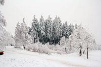 Bild: Der Oberharz am Brocken