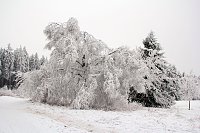 Bild: Der Oberharz am Brocken