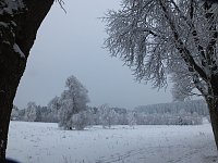 Bild: Der Oberharz am Brocken