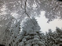 Bild: Der Oberharz am Brocken