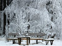 Bild: Der Oberharz am Brocken