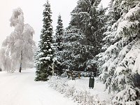 Bild: Der Oberharz am Brocken