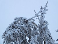 Bild: Der Oberharz am Brocken