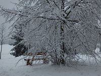Bild: Der Oberharz am Brocken