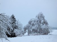 Bild: Der Oberharz am Brocken