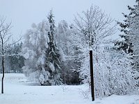 Bild: Der Oberharz am Brocken