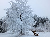 Bild: Der Oberharz am Brocken