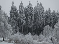 Bild: Der Oberharz am Brocken