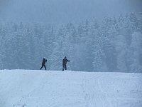 Bild: Der Oberharz am Brocken