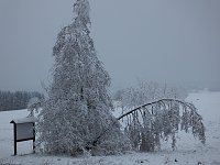 Bild: Der Oberharz am Brocken