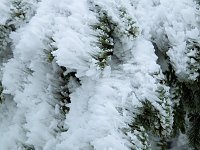 Bild: Der Oberharz am Brocken