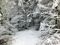 Bild: Der Oberharz am Brocken