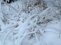 Bild: Der Oberharz am Brocken