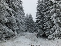 Bild: Der Oberharz am Brocken