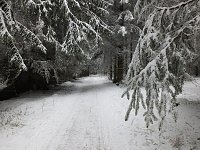 Bild: Der Oberharz am Brocken