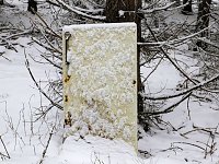Bild: Der Oberharz am Brocken