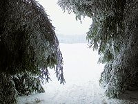 Bild: Der Oberharz am Brocken