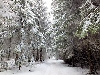 Bild: Der Oberharz am Brocken