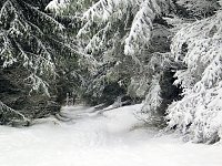Bild: Der Oberharz am Brocken