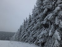 Bild: Der Oberharz am Brocken