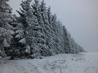 Bild: Der Oberharz am Brocken