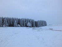 Bild: Der Oberharz am Brocken